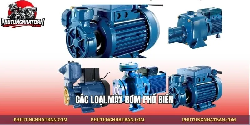 Các loại máy bơm phổ biến