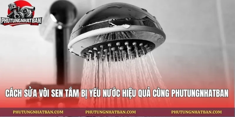 Cách Sửa Vòi Sen Tắm Bị Yếu Nước Hiệu Quả Cùng phutungnhatban
