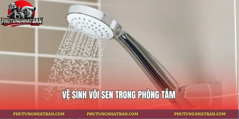 Vệ sinh vòi sen trong phòng tắm