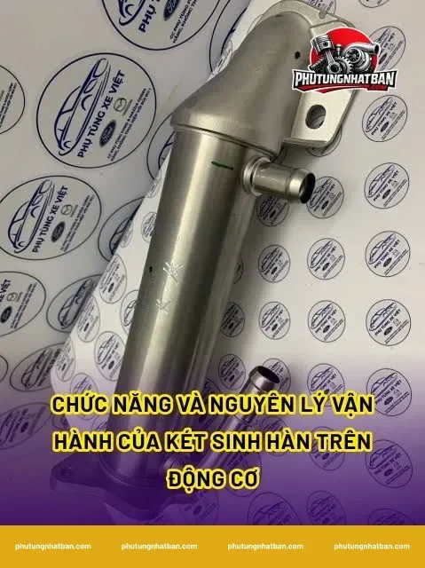 Chức năng và nguyên lý vận hành của két sinh hàn trên động cơ